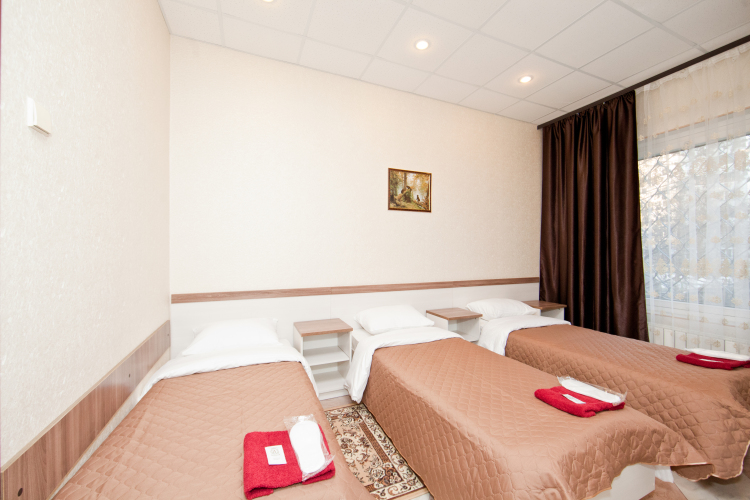 Фотография номера мини отеля Ладомир в Филях