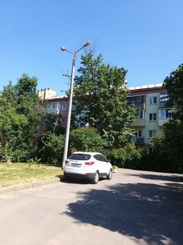 Outside