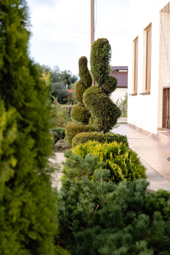 Lavanda Guest house
