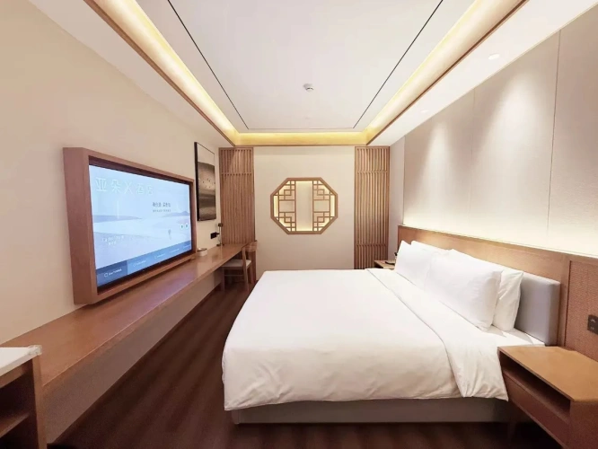Superior Twin room with city view