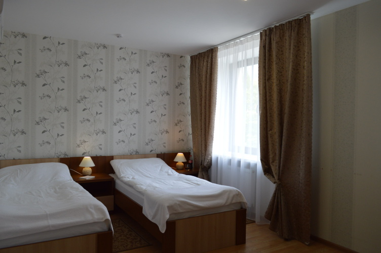 Standard Twin room with view