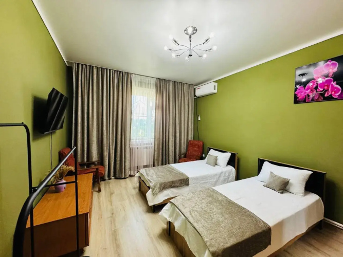 Gorilla Tashkent Private house