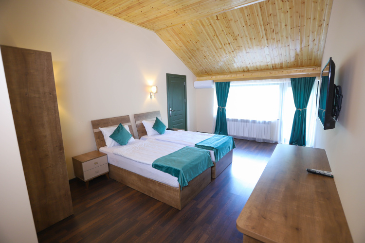 Deluxe Twin room with balcony and with view