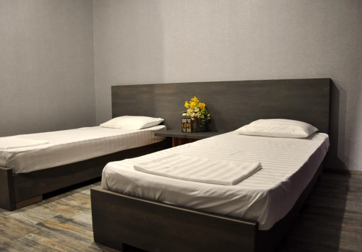 Standard Double room with balcony and with mountain view