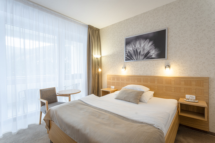 Comfort Single room with balcony and with view
