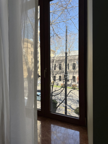 Prospekt Rustaveli Tsentr Flat