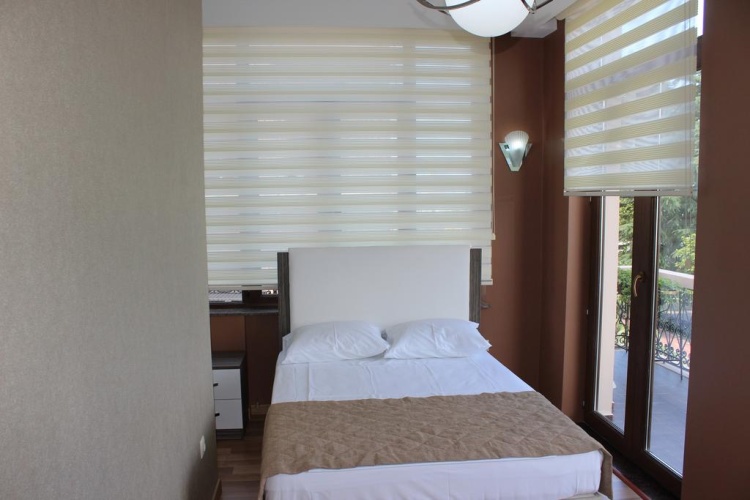 Standard Double room with balcony and with view