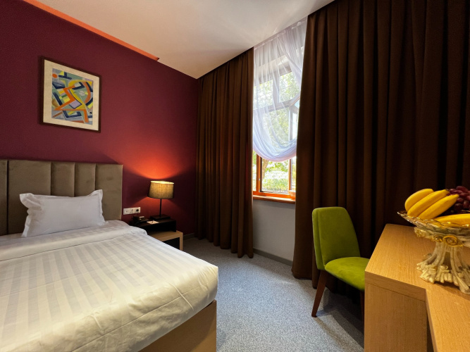 Standard Double room with city view