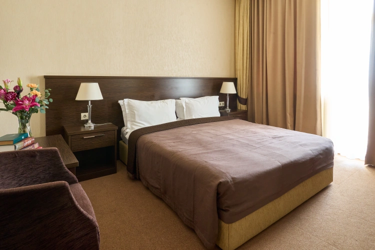 Standard Double room with balcony and with view