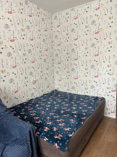 Фотография номера квартиры Апартаменты у Валеевны