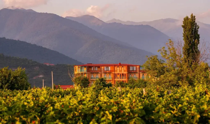 Burki Castle & Cellar Hotel