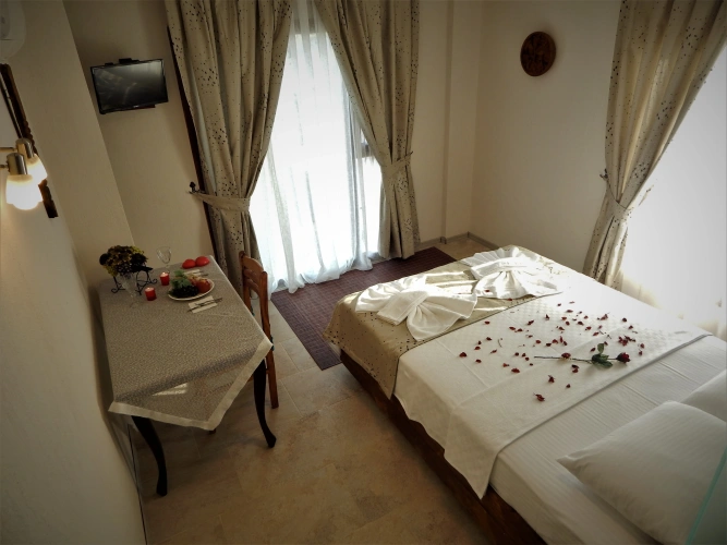 Standard Double room with balcony and with view