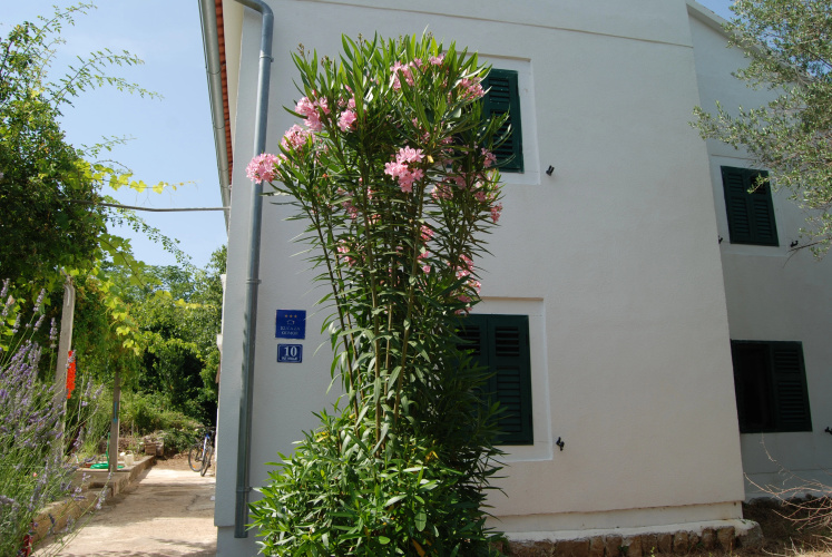 Rustic Villa Miketa