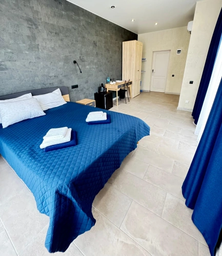 Standard Double room with surroundings view