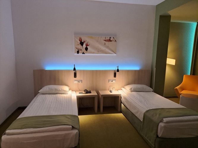 Executive Twin room with view