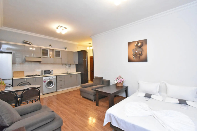 Argishti 15 Kv 65/1 Apartments