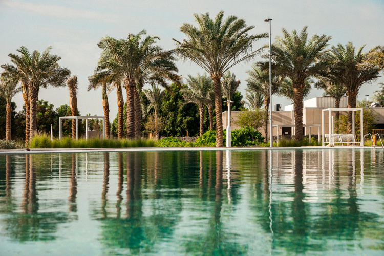 Erth Abu Dhabi photo 19