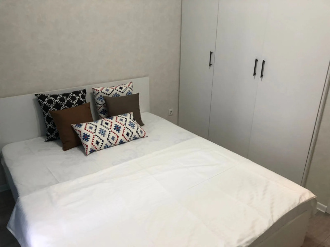 Alpamys 203 Flat