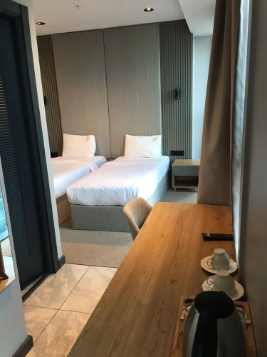 Superior Twin room with city view