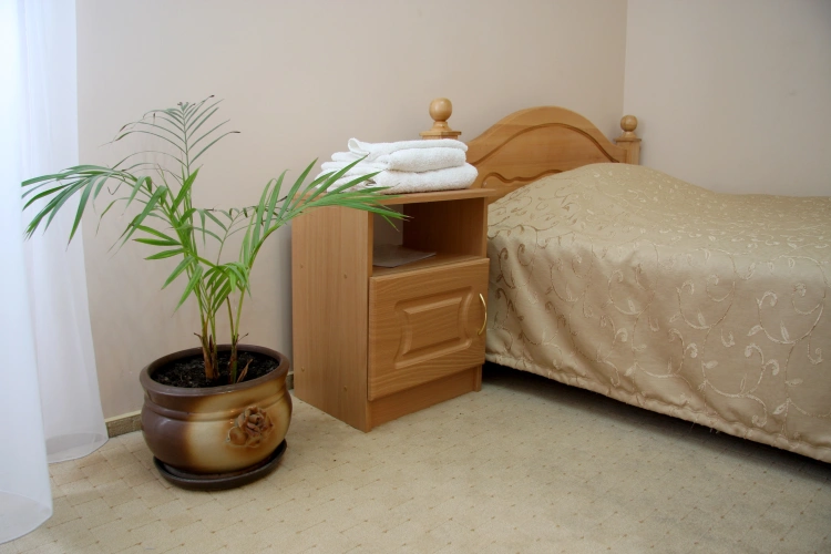 Standard Single room with balcony and with view