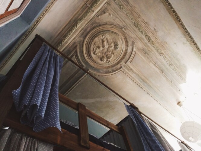 Фотография номера хостела Chickadee