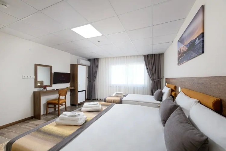 Deluxe Triple room