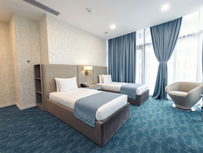 Deluxe Twin room with city view