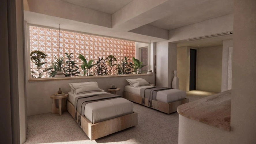 Deluxe Twin room