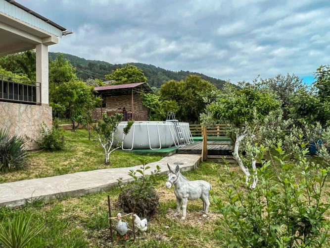 Ogonek Abkhazii Guest house