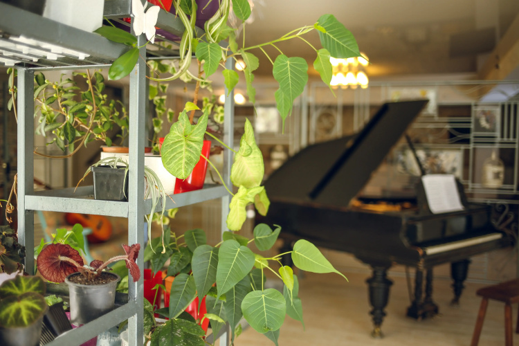 Boutique hotel Hotel Kenari