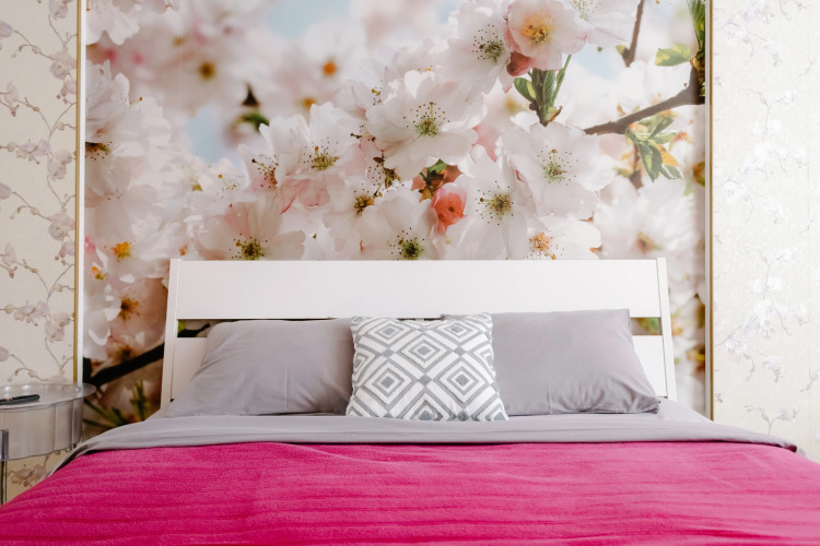 Фотография номера квартиры Квартира 3 х комнатная у Ривьеры