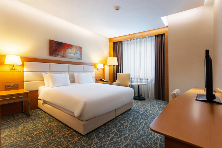Holiday Inn Baku photo 39