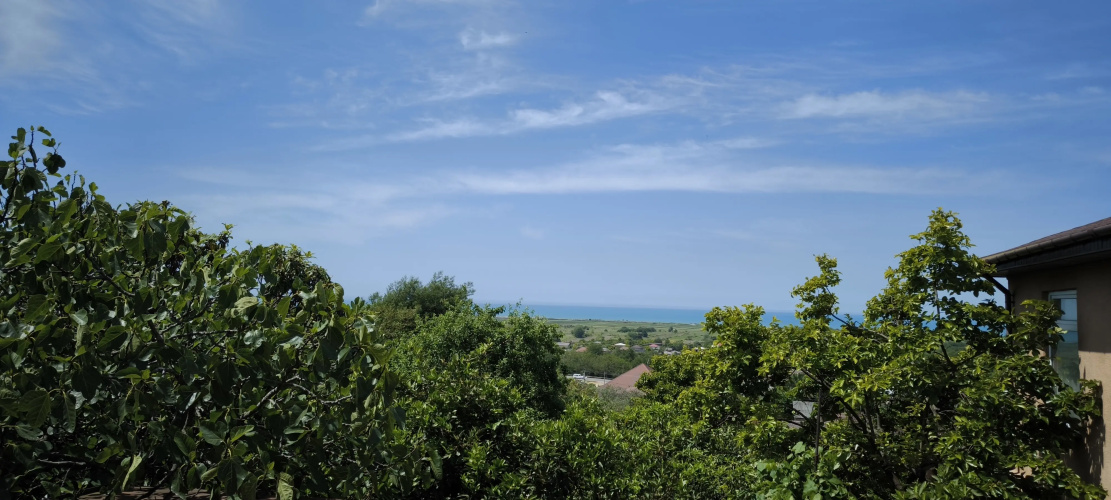 Tsitrus Guest house