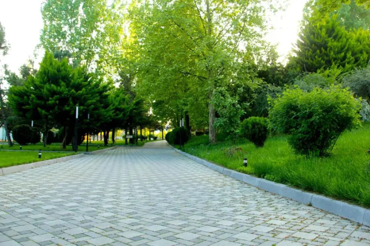 Arena Sheki Hotel