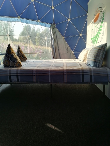 Фотография номера кемпинга Папоротник