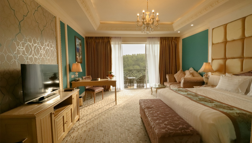 Deluxe Double room with balcony and with view