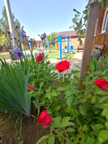 Изображение 1