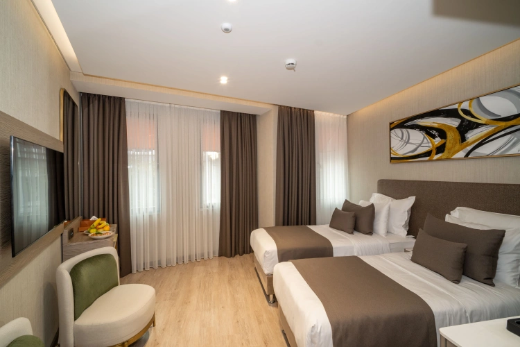 Standard Twin room