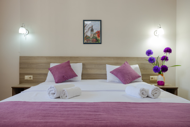 Standard Double room with balcony and with view