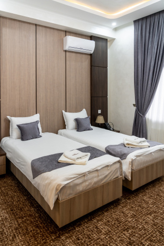 Deluxe Twin room with balcony and with view