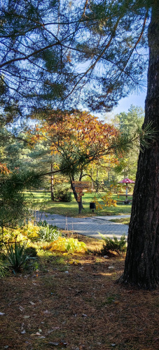Recreation camp Park Polyanka