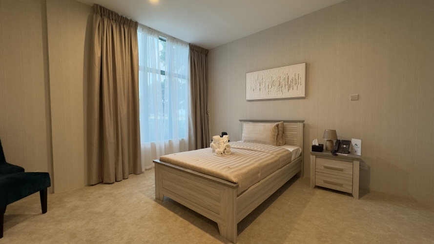 Standard Single room with park view