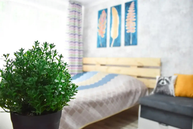 Фотография номера квартиры Квартира Уютная студия Жарокова–Си Синхая