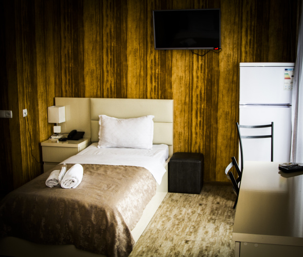 Standard Double room with balcony and with view