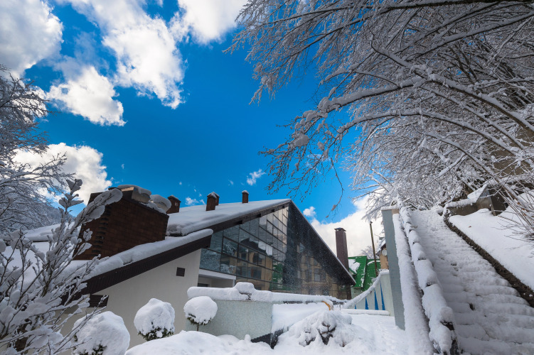 Отель Villa Ariana