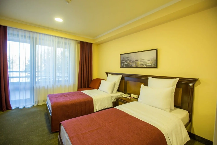 Standard Twin room with balcony and with view