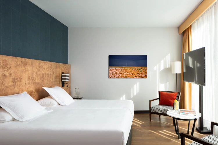 Deluxe Double room with city view