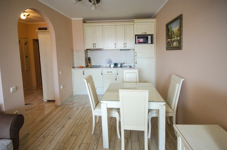 1 Bedroom Apartment with balcony and with view