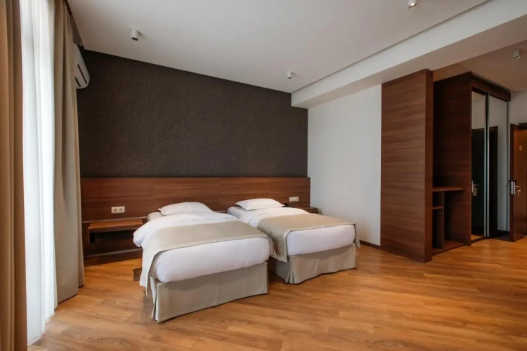 Standard Double room with balcony and with view