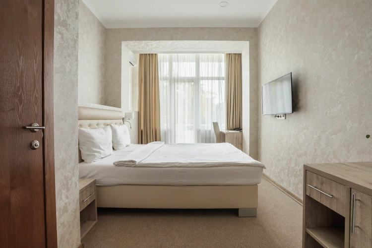 Standard Double room with balcony and with park view